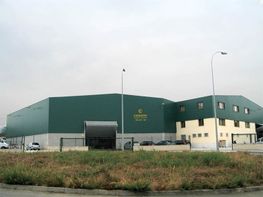 Construcciones Cancela nave industrial verde